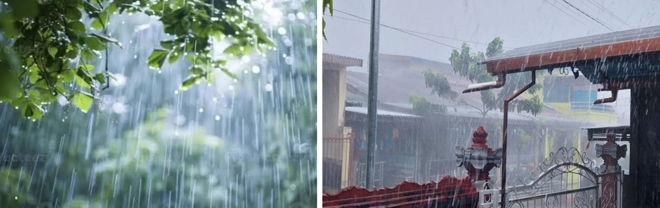 Ilustrasi oleh Tribuana News